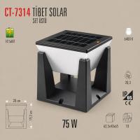 CATA CT-7314 Tibet 75W Solar Bahçe Armatürü