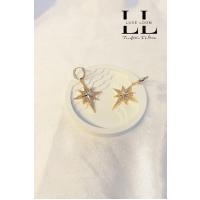 Kadın Gold Kuzey Yıldızlı Zirkon Taşlı Çağla Şikel Küpe 003